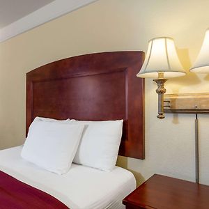 King Room Mobility accessible